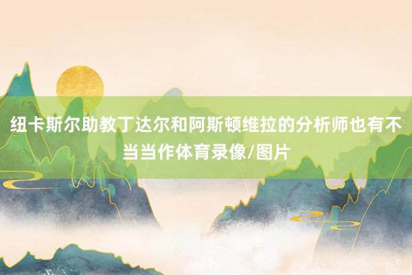 纽卡斯尔助教丁达尔和阿斯顿维拉的分析师也有不当当作体育录像/图片