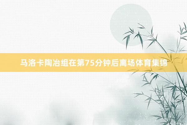 马洛卡陶冶组在第75分钟后离场体育集锦