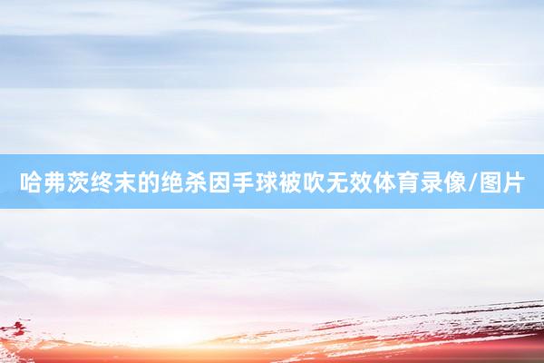 哈弗茨终末的绝杀因手球被吹无效体育录像/图片