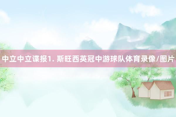 中立　　中立谍报　　1. 斯旺西英冠中游球队体育录像/图片