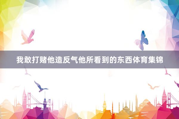 我敢打赌他造反气他所看到的东西体育集锦