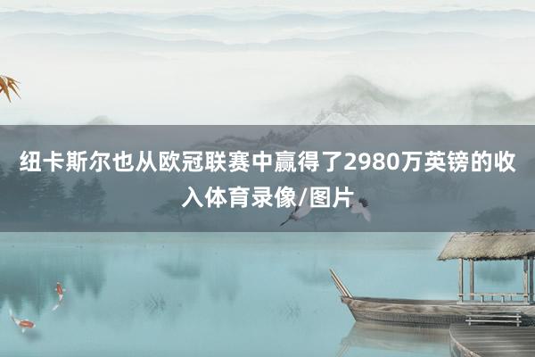 纽卡斯尔也从欧冠联赛中赢得了2980万英镑的收入体育录像/图片