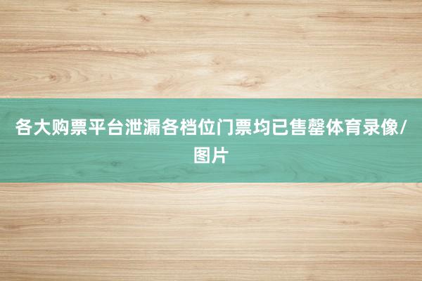 各大购票平台泄漏各档位门票均已售罄体育录像/图片