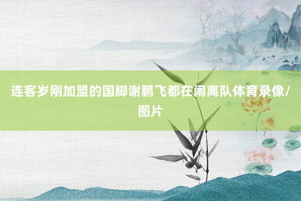 连客岁刚加盟的国脚谢鹏飞都在闹离队体育录像/图片