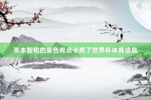 张本智和的景色有点卡壳了世界杯体育信息