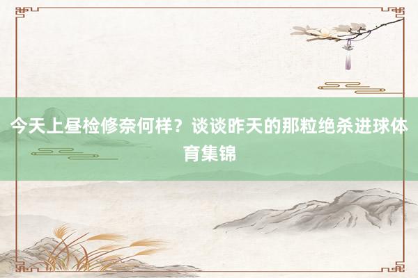 今天上昼检修奈何样？谈谈昨天的那粒绝杀进球体育集锦