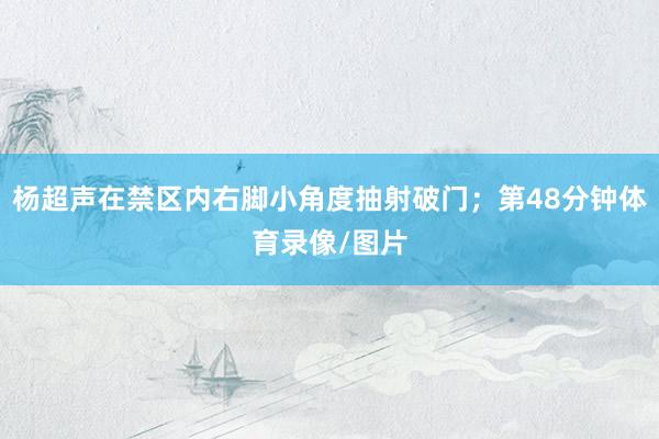 杨超声在禁区内右脚小角度抽射破门；第48分钟体育录像/图片