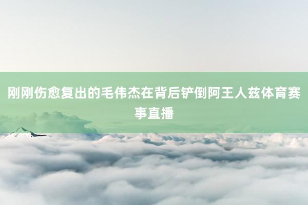 刚刚伤愈复出的毛伟杰在背后铲倒阿王人兹体育赛事直播