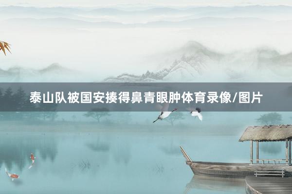 泰山队被国安揍得鼻青眼肿体育录像/图片