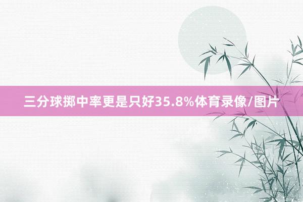 三分球掷中率更是只好35.8%体育录像/图片
