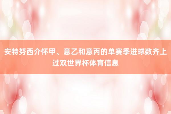 安特努西介怀甲、意乙和意丙的单赛季进球数齐上过双世界杯体育信息