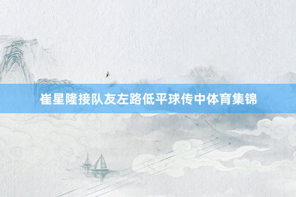崔星隆接队友左路低平球传中体育集锦