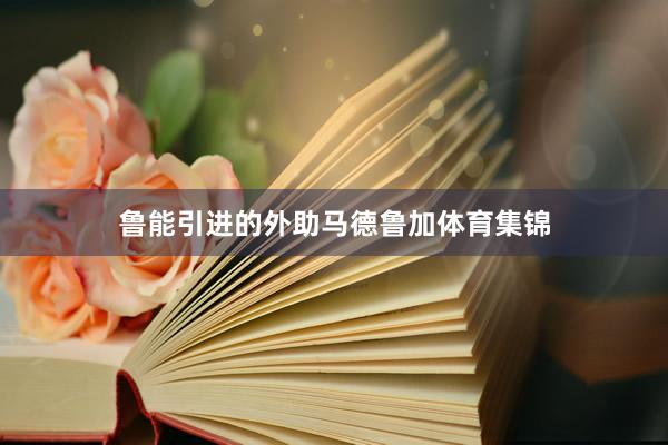 鲁能引进的外助马德鲁加体育集锦