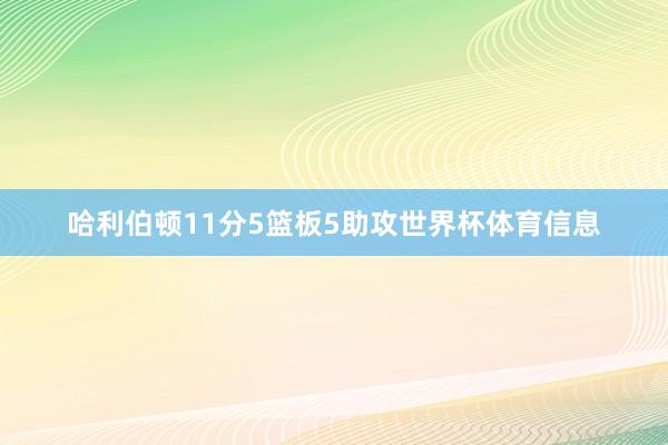 哈利伯顿11分5篮板5助攻世界杯体育信息