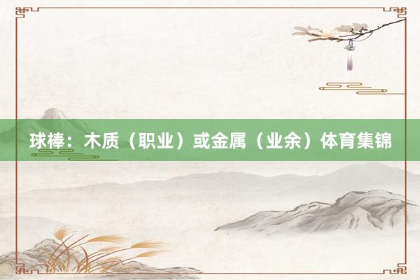 球棒：木质（职业）或金属（业余）体育集锦