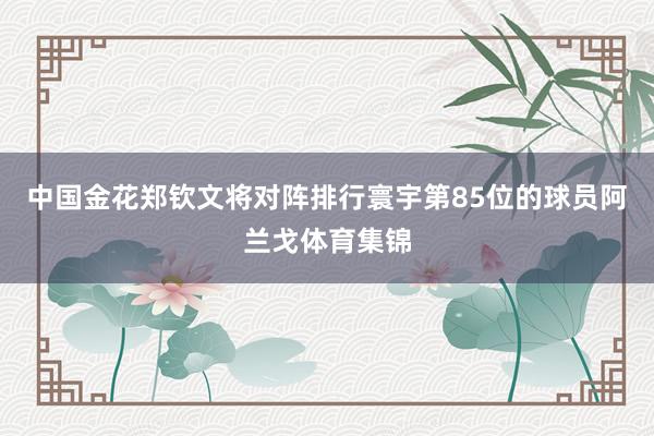 中国金花郑钦文将对阵排行寰宇第85位的球员阿兰戈体育集锦