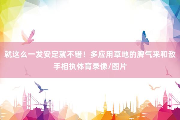 就这么一发安定就不错！多应用草地的脾气来和敌手相执体育录像/图片