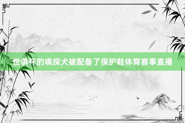 世俱杯的嗅探犬被配备了保护鞋体育赛事直播
