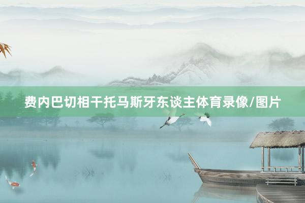 费内巴切相干托马斯牙东谈主体育录像/图片