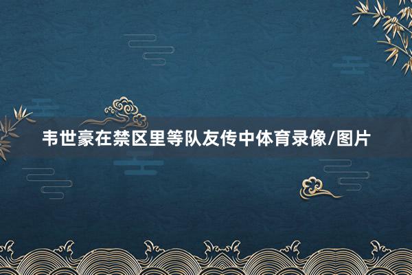 韦世豪在禁区里等队友传中体育录像/图片