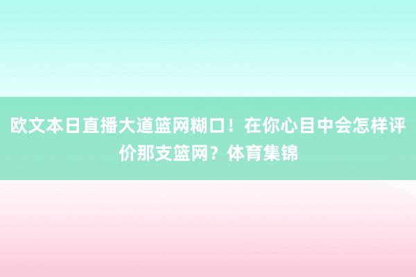 欧文本日直播大道篮网糊口！在你心目中会怎样评价那支篮网？体育集锦