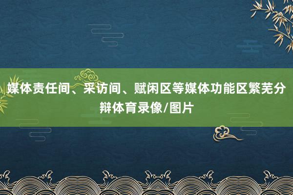 媒体责任间、采访间、赋闲区等媒体功能区繁芜分辩体育录像/图片