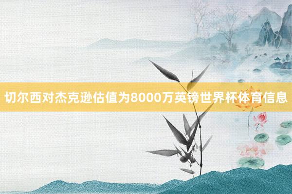 切尔西对杰克逊估值为8000万英镑世界杯体育信息