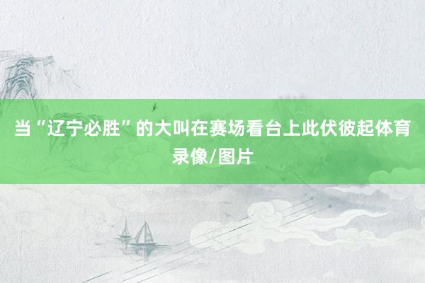 当“辽宁必胜”的大叫在赛场看台上此伏彼起体育录像/图片