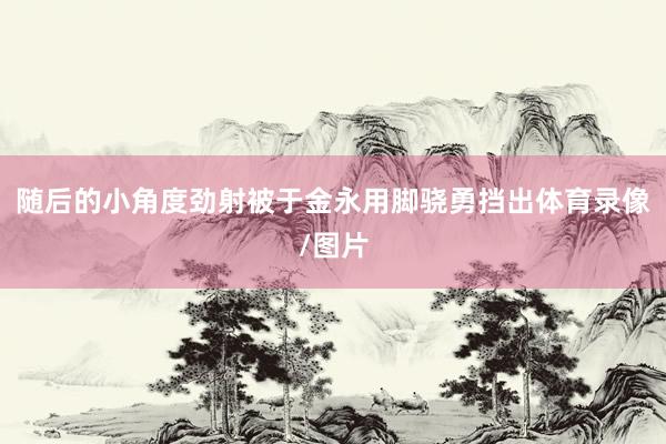 随后的小角度劲射被于金永用脚骁勇挡出体育录像/图片