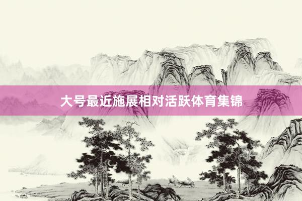 大号最近施展相对活跃体育集锦