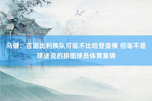 马健：吉诺比利换队可能不比哈登蛮横 但毫不是球迷说的拼图球员体育集锦