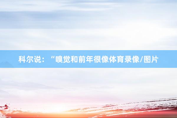 科尔说：“嗅觉和前年很像体育录像/图片