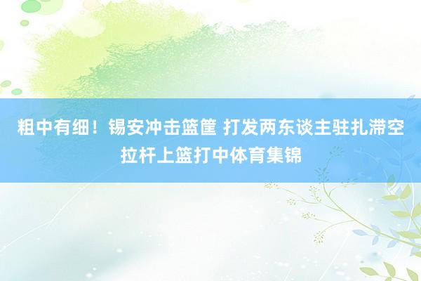 粗中有细！锡安冲击篮筐 打发两东谈主驻扎滞空拉杆上篮打中体育集锦