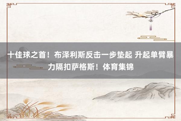 十佳球之首！布泽利斯反击一步垫起 升起单臂暴力隔扣萨格斯！体育集锦