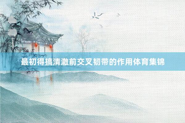 最初得搞清澈前交叉韧带的作用体育集锦