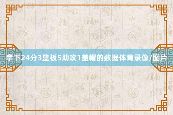 拿下24分3篮板5助攻1盖帽的数据体育录像/图片