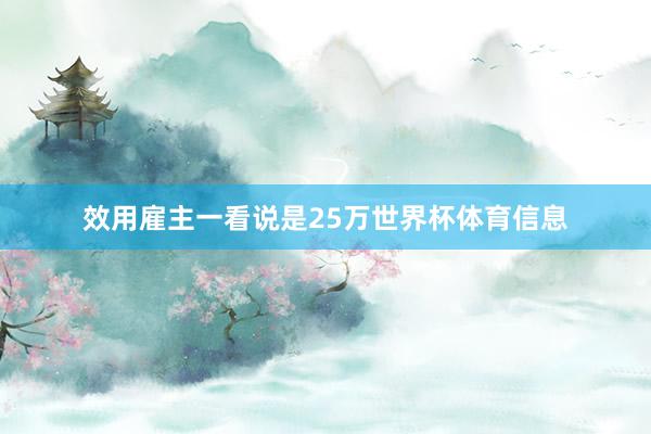 效用雇主一看说是25万世界杯体育信息