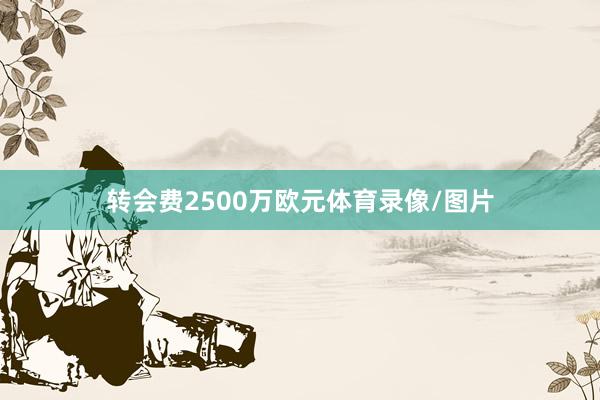 转会费2500万欧元体育录像/图片