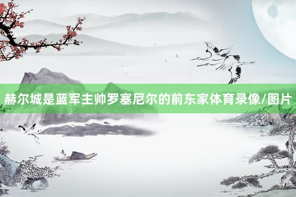赫尔城是蓝军主帅罗塞尼尔的前东家体育录像/图片