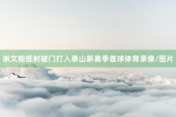 谢文能低射破门打入泰山新赛季首球体育录像/图片