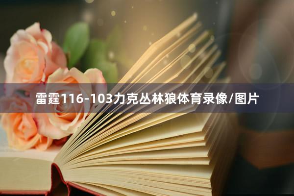 雷霆116-103力克丛林狼体育录像/图片