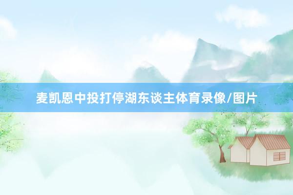 麦凯恩中投打停湖东谈主体育录像/图片
