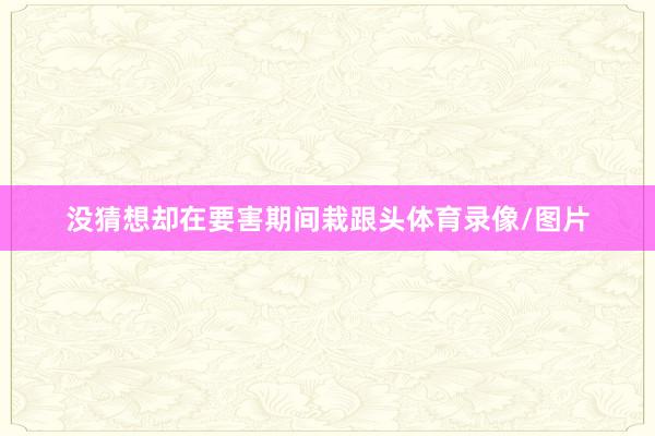 没猜想却在要害期间栽跟头体育录像/图片