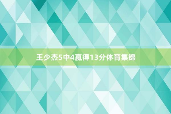 王少杰5中4赢得13分体育集锦