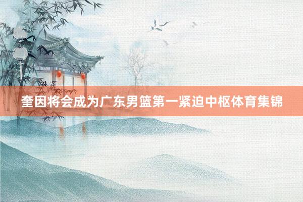 奎因将会成为广东男篮第一紧迫中枢体育集锦