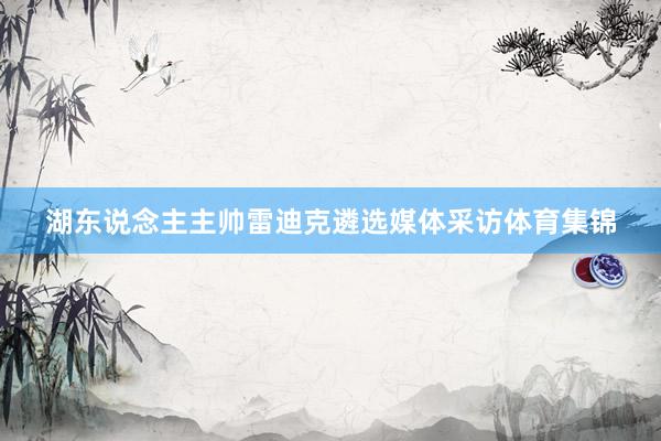 湖东说念主主帅雷迪克遴选媒体采访体育集锦