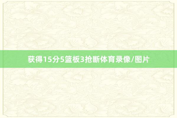 获得15分5篮板3抢断体育录像/图片