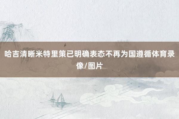 哈吉清晰米特里策已明确表态不再为国遵循体育录像/图片