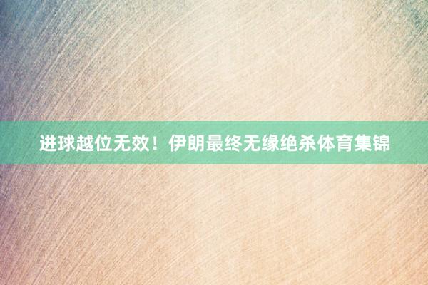 进球越位无效！伊朗最终无缘绝杀体育集锦